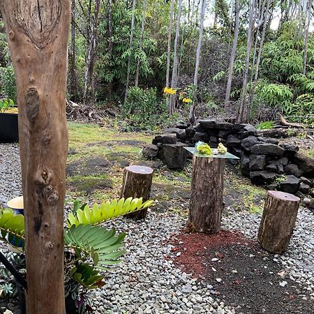 Exotic Garden Cottage At Amazing Volcano Fissure Mountain View Exterior foto