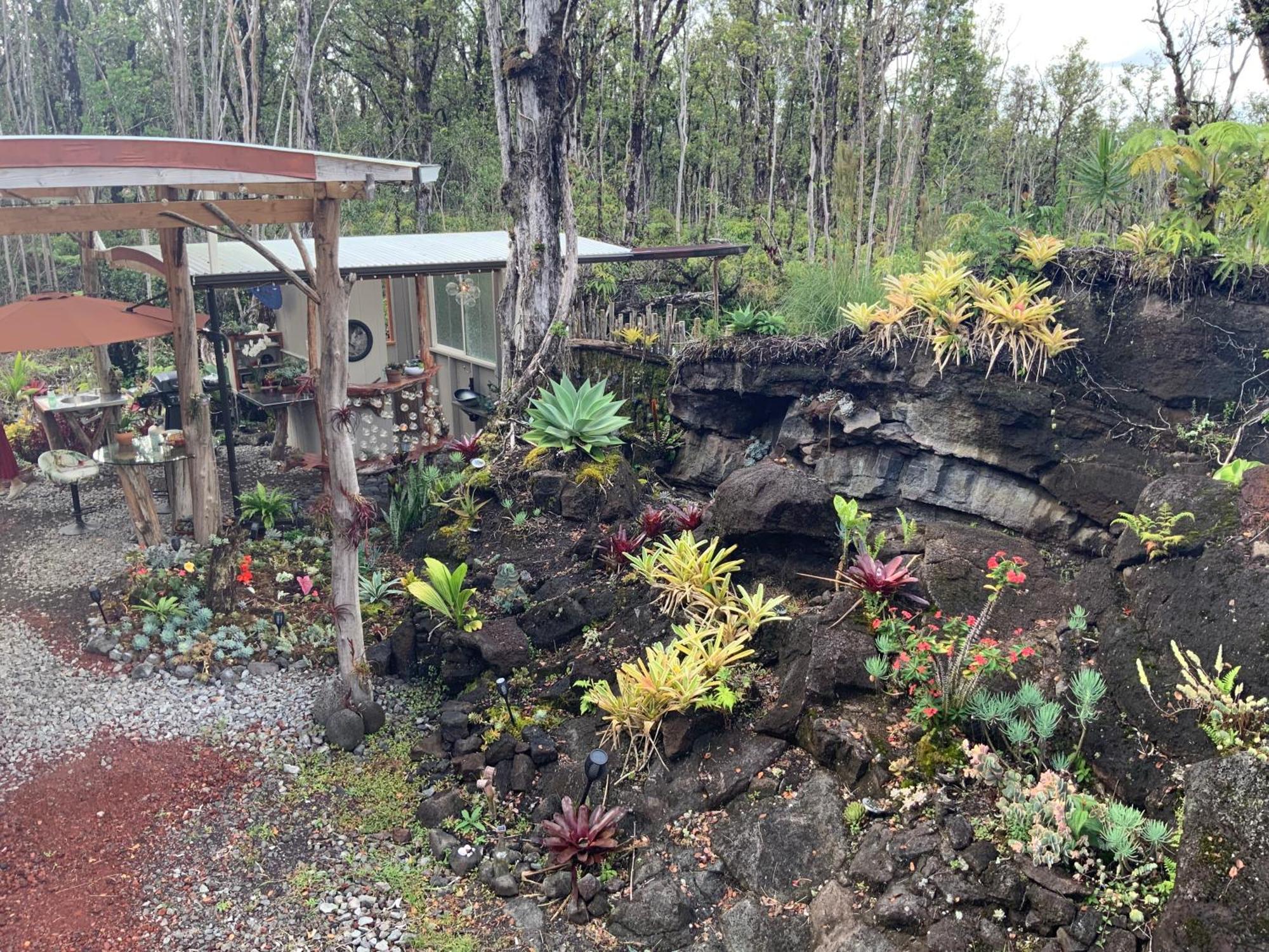 Exotic Garden Cottage At Amazing Volcano Fissure Mountain View Exterior foto