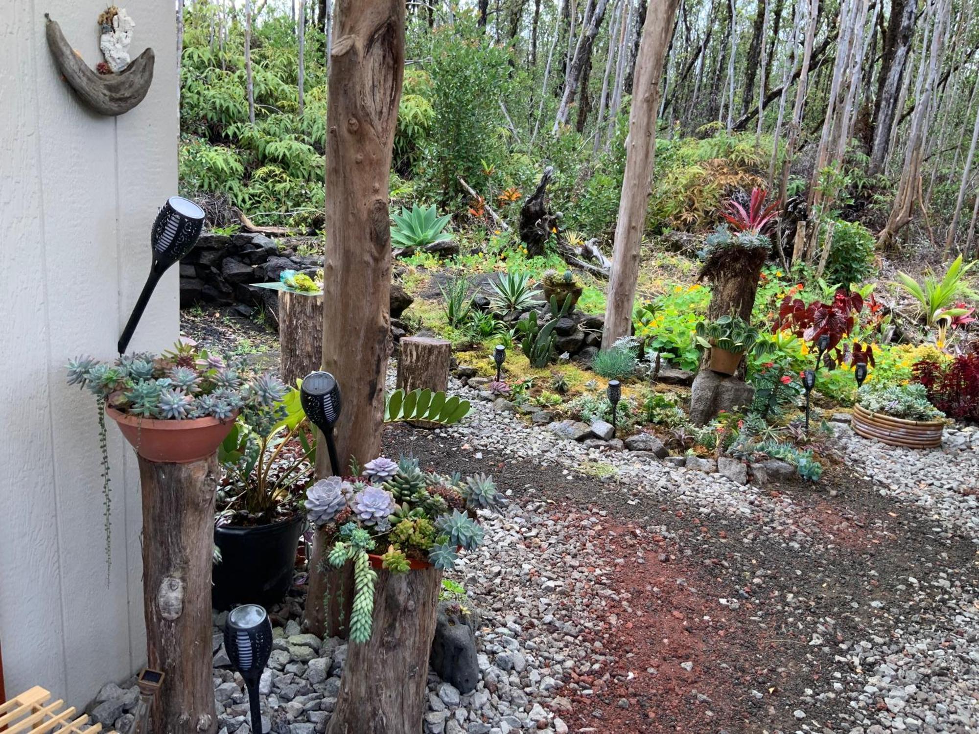 Exotic Garden Cottage At Amazing Volcano Fissure Mountain View Exterior foto