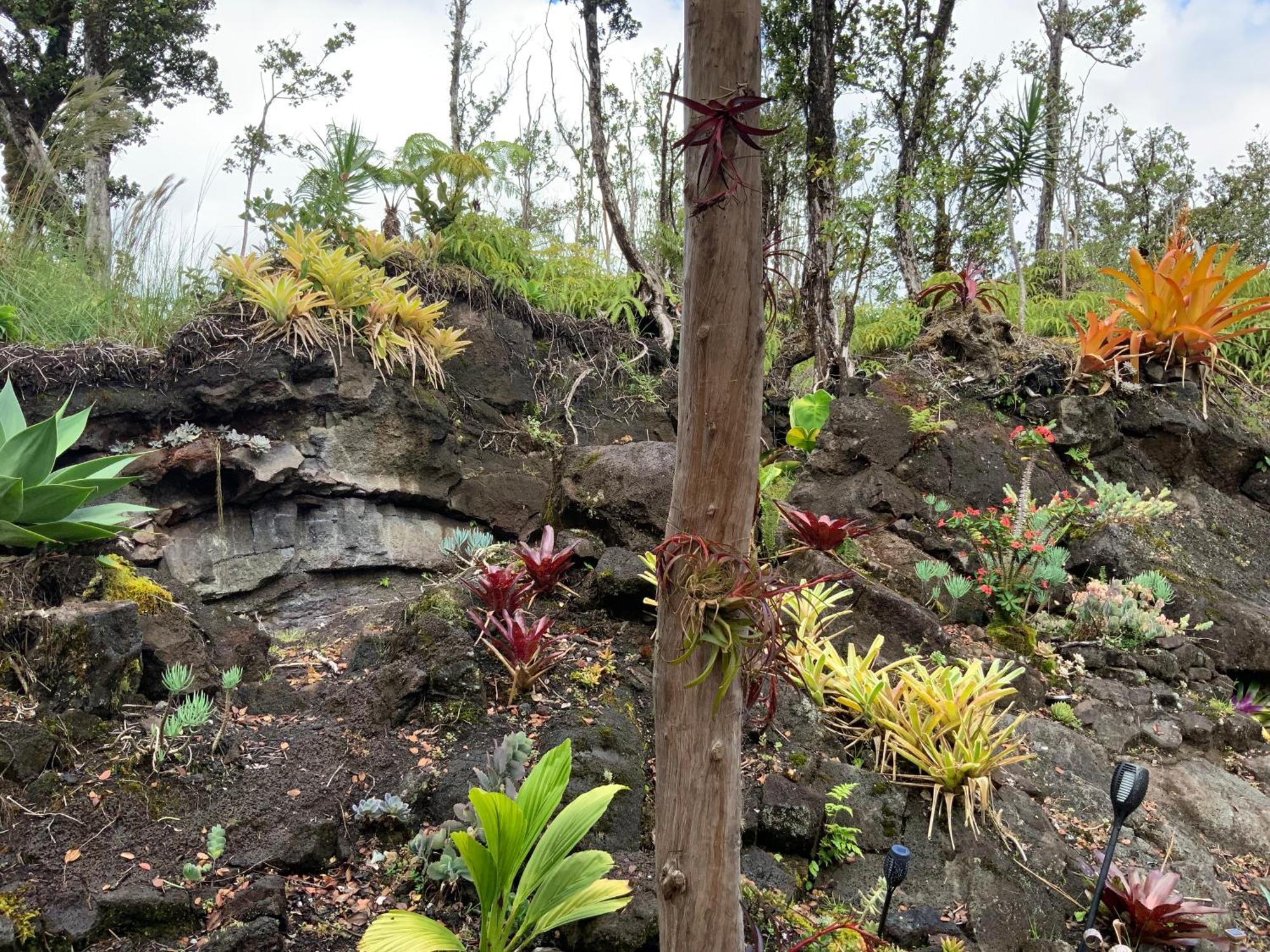 Exotic Garden Cottage At Amazing Volcano Fissure Mountain View Exterior foto