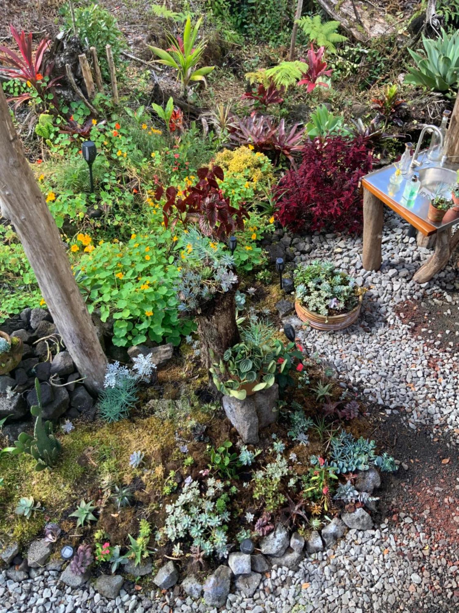 Exotic Garden Cottage At Amazing Volcano Fissure Mountain View Exterior foto