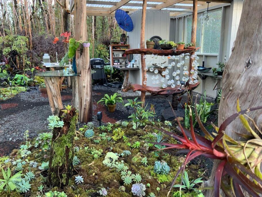 Exotic Garden Cottage At Amazing Volcano Fissure Mountain View Exterior foto