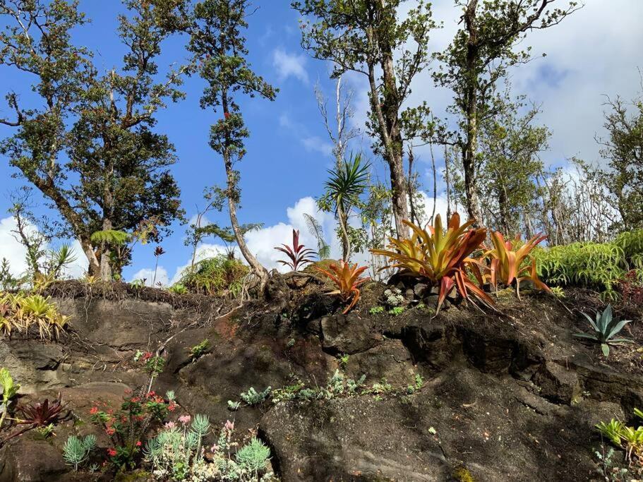Exotic Garden Cottage At Amazing Volcano Fissure Mountain View Exterior foto
