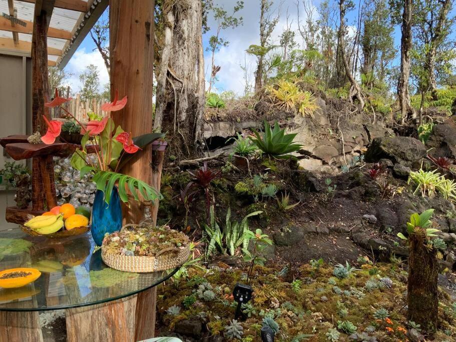 Exotic Garden Cottage At Amazing Volcano Fissure Mountain View Exterior foto