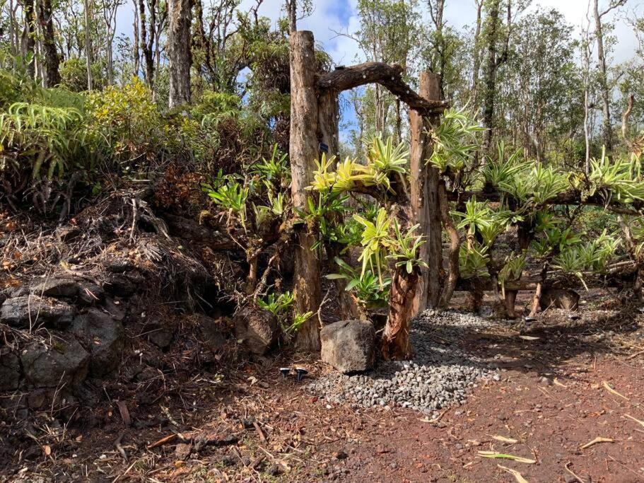 Exotic Garden Cottage At Amazing Volcano Fissure Mountain View Exterior foto