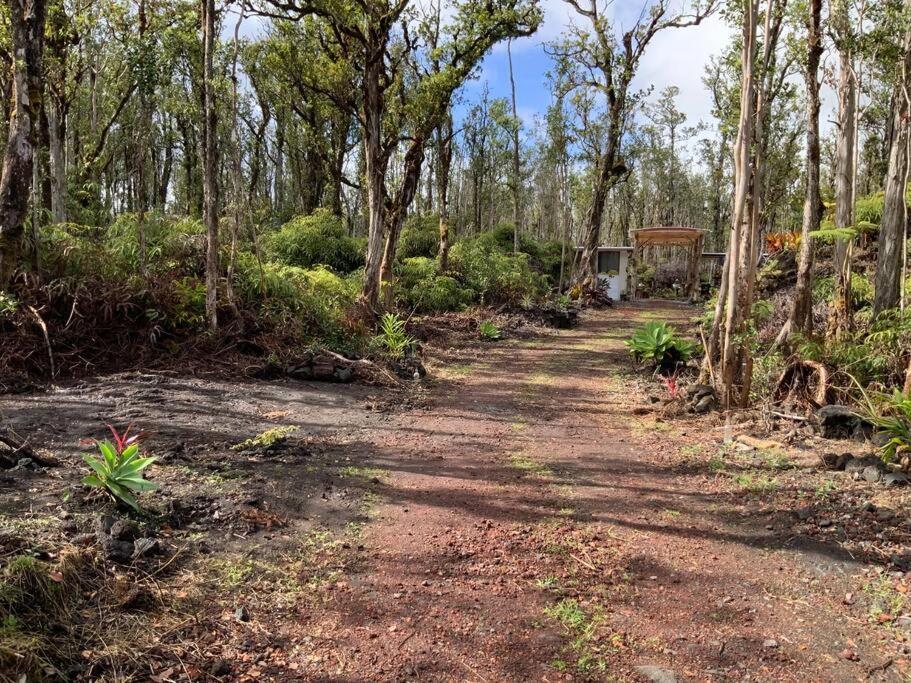 Exotic Garden Cottage At Amazing Volcano Fissure Mountain View Exterior foto